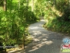 Parque Ecoturístico Municipal São Luís de Tolosa (Foto: Ever Lisboa)