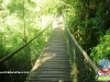 Parque Ecoturístico Municipal São Luís de Tolosa (Foto: Ever Lisboa)