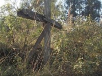 O antigo campo do Curralinho: a história de um cemitério esquecido 