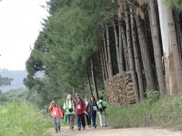 Caminhada na Natureza é sucesso novamente